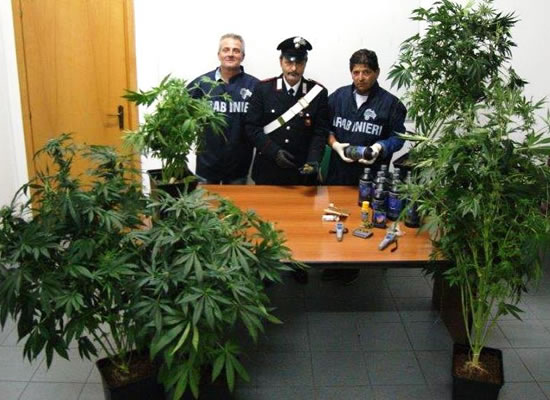 San Michele di Ganzaria, arrestato 25enne: piantagione marijuana in camera da letto